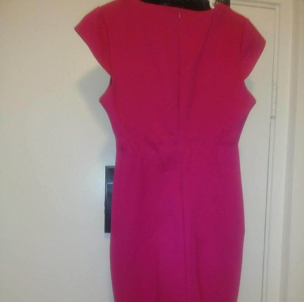 Pink Shift Dress - Picture 5 of 6